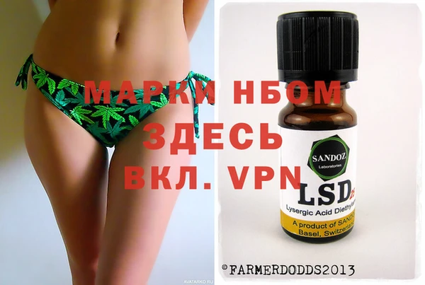 PSILOCYBIN Ельня