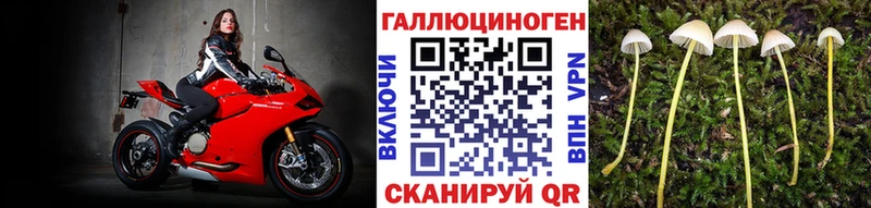 наркотики Приморско-Ахтарск Псилоцибиновые грибы мицелий
